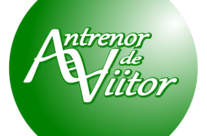 #SustinemCompaniileLocale- Academia de Business si Leadership „Antrenor de Viitor”